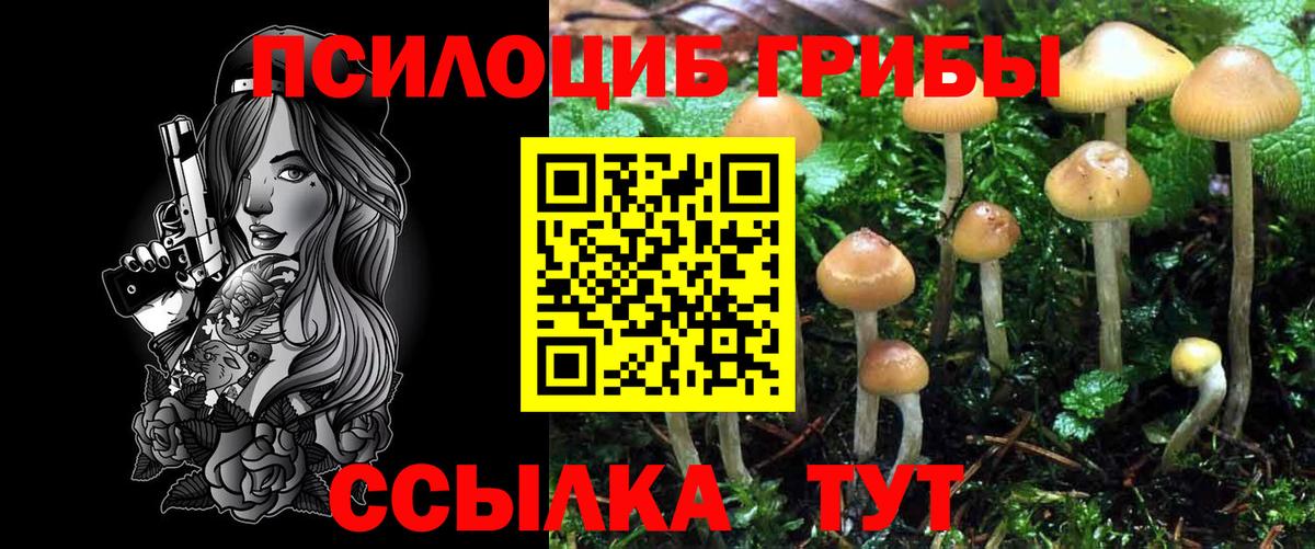 Псилоцибиновые грибы GOLDEN TEACHER  Вход с VPN  Нижний Тагил  Галлюциногенные грибы Cubensis 