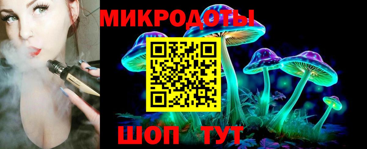 Псилоцибиновые грибы Psilocybine cubensis Нижний Тагил